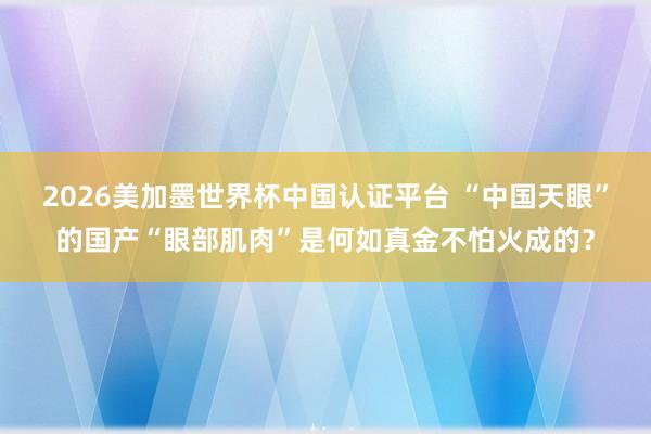 2026美加墨世界杯中国认证平台 “中国天眼”的国产“眼部肌肉”是何如真金不怕火成的？
