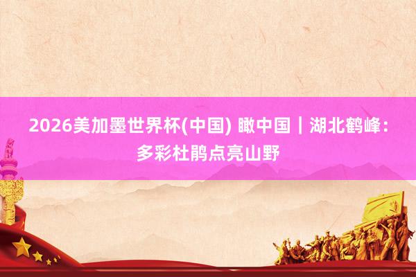 2026美加墨世界杯(中国) 瞰中国｜湖北鹤峰：多彩杜鹃点亮山野