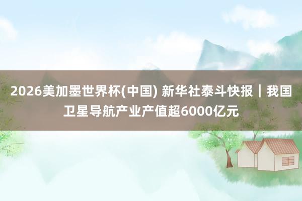 2026美加墨世界杯(中国) 新华社泰斗快报｜我国卫星导航产业产值超6000亿元