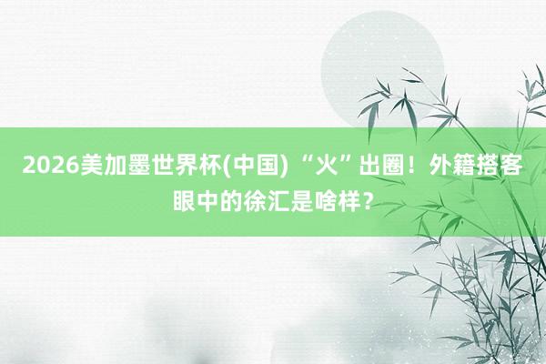 2026美加墨世界杯(中国) “火”出圈！外籍搭客眼中的徐汇是啥样？