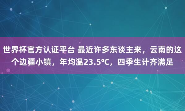 世界杯官方认证平台 最近许多东谈主来，云南的这个边疆小镇，年均温23.5℃，四季生计齐满足