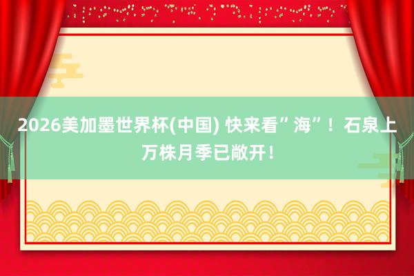 2026美加墨世界杯(中国) 快来看”海”！石泉上万株月季已敞开！