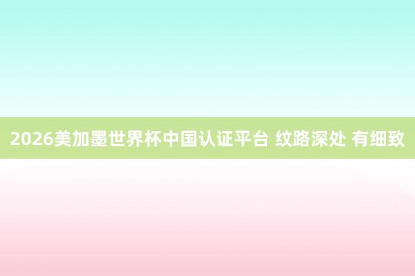 2026美加墨世界杯中国认证平台 纹路深处 有细致