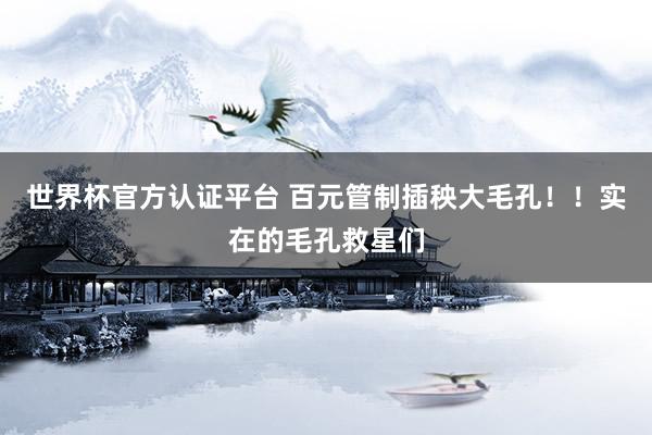 世界杯官方认证平台 百元管制插秧大毛孔！！实在的毛孔救星们