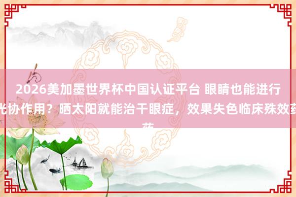 2026美加墨世界杯中国认证平台 眼睛也能进行光协作用？晒太阳就能治干眼症，效果失色临床殊效药