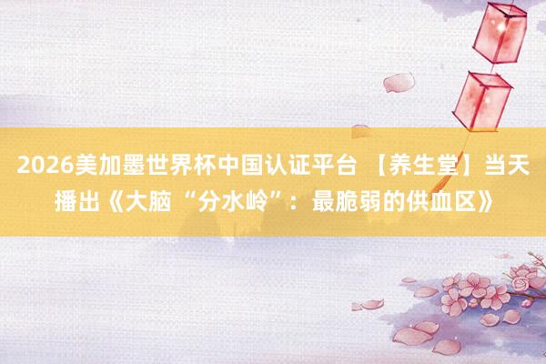 2026美加墨世界杯中国认证平台 【养生堂】当天播出《大脑 “分水岭”：最脆弱的供血区》