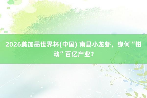 2026美加墨世界杯(中国) 南县小龙虾，缘何“钳动”百亿产业？