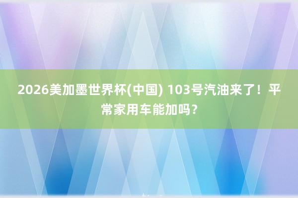 2026美加墨世界杯(中国) 103号汽油来了！平常家用车能加吗？