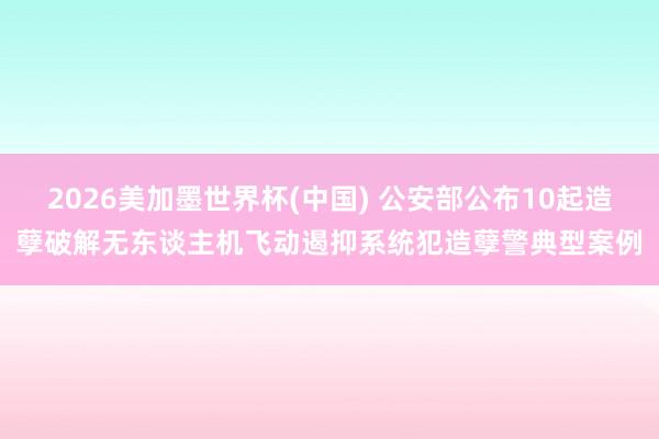 2026美加墨世界杯(中国) 公安部公布10起造孽破解无东谈主机飞动遏抑系统犯造孽警典型案例