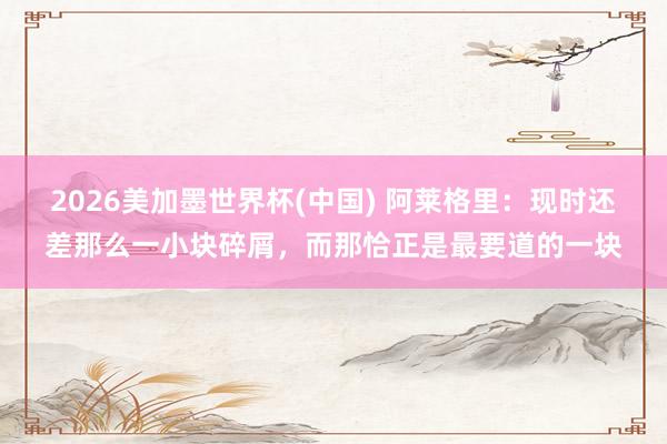 2026美加墨世界杯(中国) 阿莱格里：现时还差那么一小块碎屑，而那恰正是最要道的一块