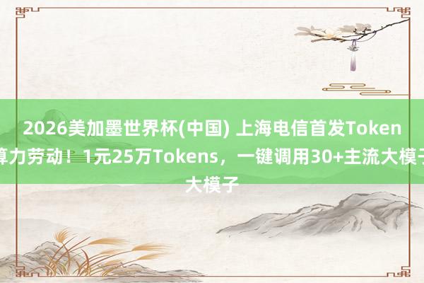 2026美加墨世界杯(中国) 上海电信首发Token算力劳动！1元25万Tokens，一键调用30+主流大模子