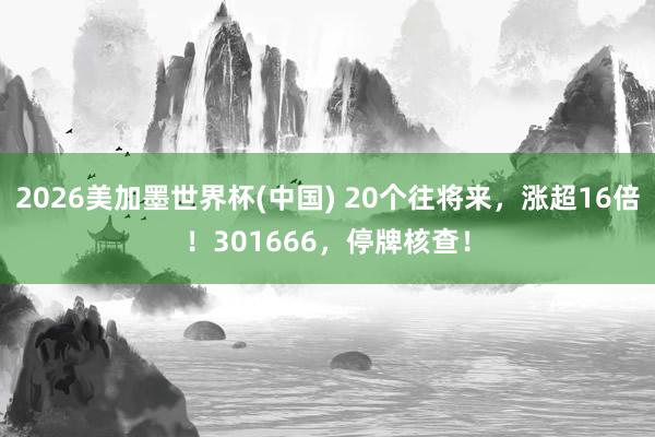 2026美加墨世界杯(中国) 20个往将来，涨超16倍！301666，停牌核查！
