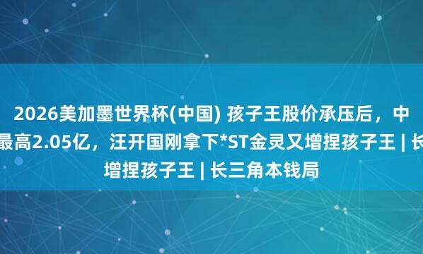 2026美加墨世界杯(中国) 孩子王股价承压后，中枢层拟增捏最高2.05亿，汪开国刚拿下*ST金灵又增捏孩子王 | 长三角本钱局