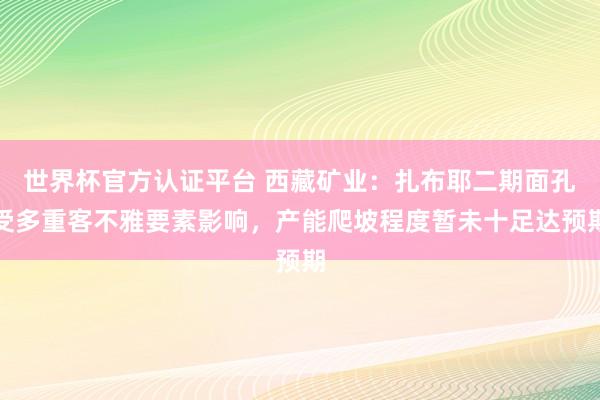 世界杯官方认证平台 西藏矿业：扎布耶二期面孔受多重客不雅要素影响，产能爬坡程度暂未十足达预期