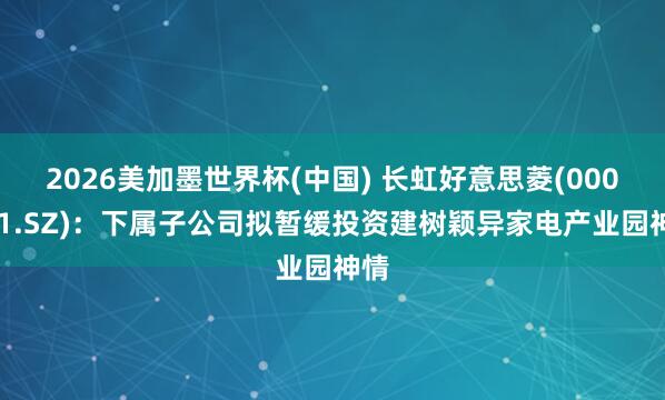 2026美加墨世界杯(中国) 长虹好意思菱(000521.SZ)：下属子公司拟暂缓投资建树颖异家电产业园神情