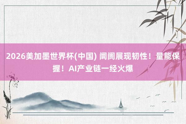 2026美加墨世界杯(中国) 阛阓展现韧性！量能保握！AI产业链一经火爆