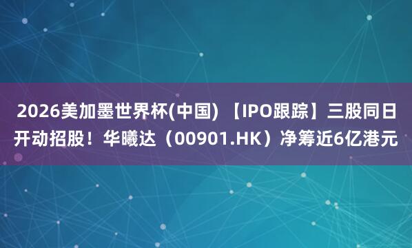 2026美加墨世界杯(中国) 【IPO跟踪】三股同日开动招股！华曦达（00901.HK）净筹近6亿港元