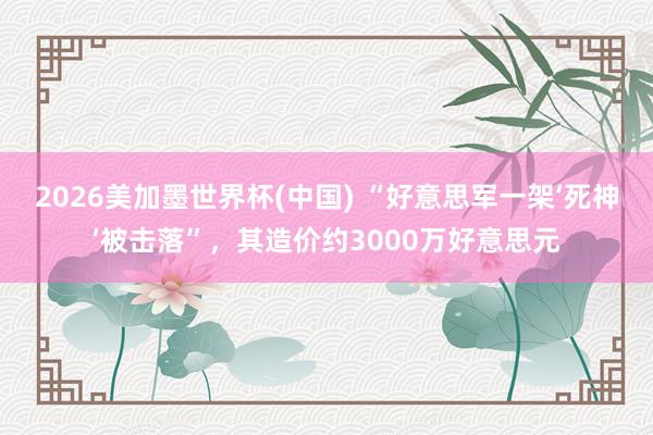 2026美加墨世界杯(中国) “好意思军一架‘死神’被击落”，其造价约3000万好意思元