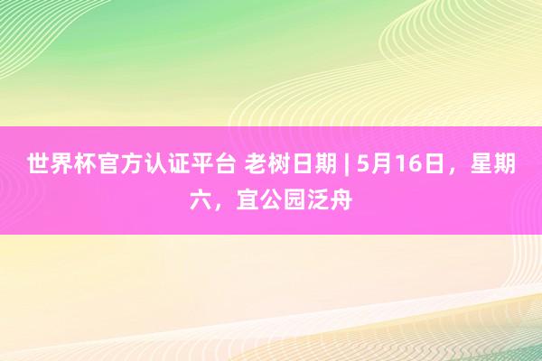 世界杯官方认证平台 老树日期 | 5月16日，星期六，宜公园泛舟