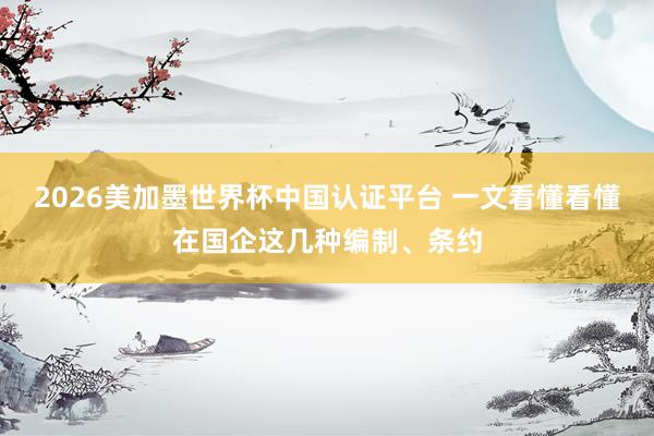 2026美加墨世界杯中国认证平台 一文看懂看懂在国企这几种编制、条约