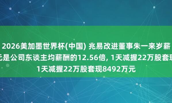 2026美加墨世界杯(中国) 兆易改进董事朱一来岁薪753.26万元是公司东谈主均薪酬的12.56倍， 1天减握22万股套现8492万元