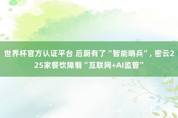 世界杯官方认证平台 后厨有了“智能哨兵”， 密云225家餐饮障翳“互联网+AI监管”