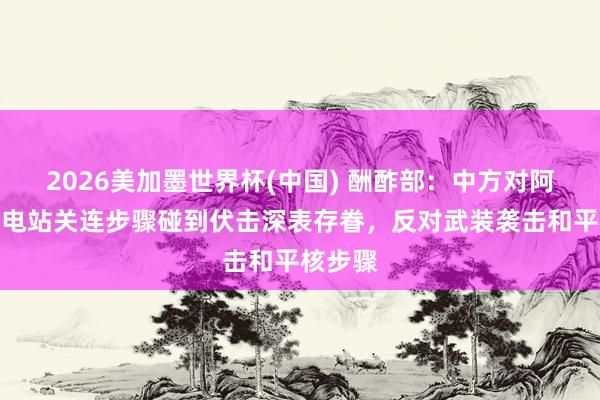 2026美加墨世界杯(中国) 酬酢部：中方对阿联酋核电站关连步骤碰到伏击深表存眷，反对武装袭击和平核步骤