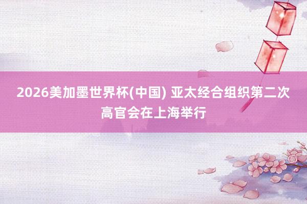 2026美加墨世界杯(中国) 亚太经合组织第二次高官会在上海举行