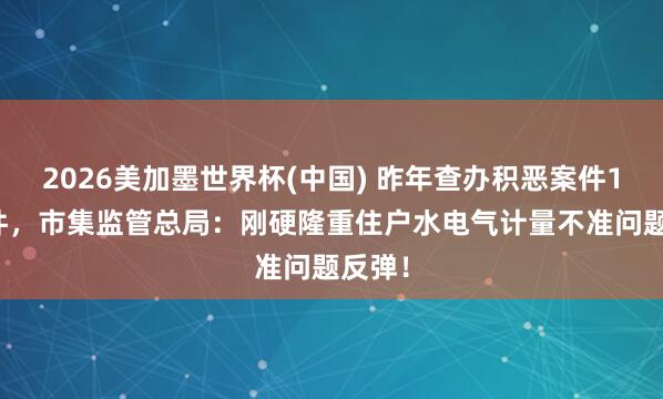 2026美加墨世界杯(中国) 昨年查办积恶案件1.4万件，市集监管总局：刚硬隆重住户水电气计量不准问题反弹！