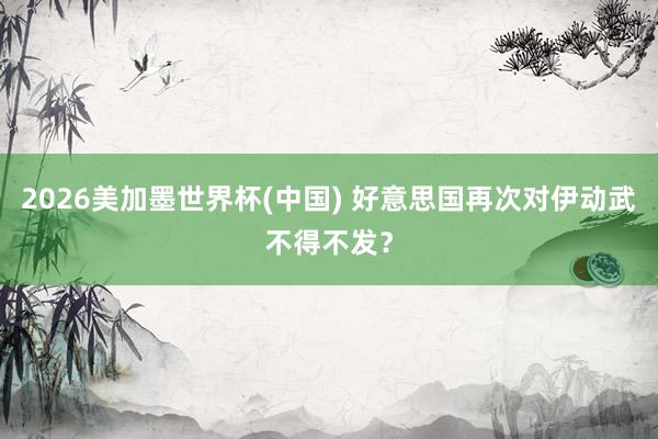 2026美加墨世界杯(中国) 好意思国再次对伊动武不得不发？