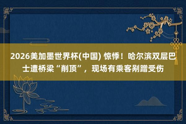2026美加墨世界杯(中国) 惊悸！哈尔滨双层巴士遭桥梁“削顶”，现场有乘客剐蹭受伤