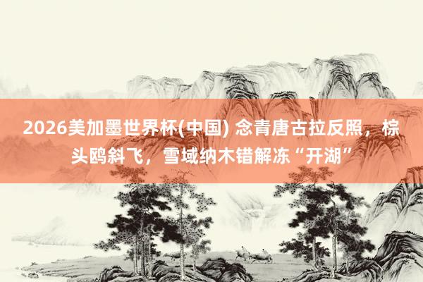 2026美加墨世界杯(中国) 念青唐古拉反照，棕头鸥斜飞，雪域纳木错解冻“开湖”