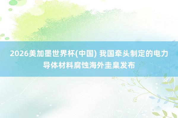 2026美加墨世界杯(中国) 我国牵头制定的电力导体材料腐蚀海外圭臬发布