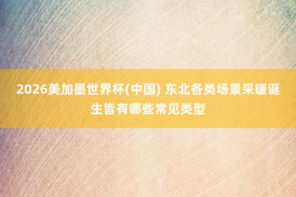 2026美加墨世界杯(中国) 东北各类场景采暖诞生皆有哪些常见类型