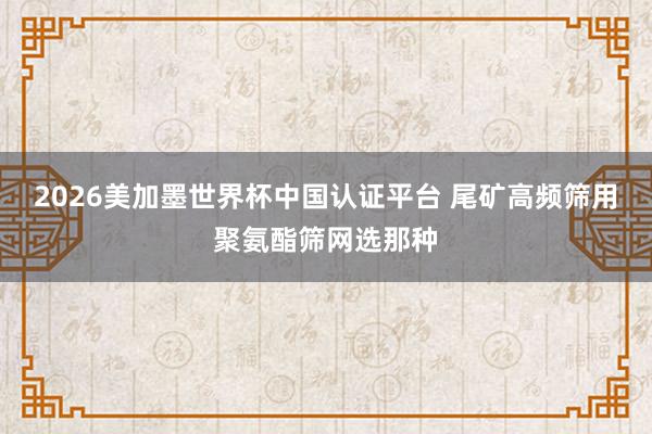 2026美加墨世界杯中国认证平台 尾矿高频筛用聚氨酯筛网选那种