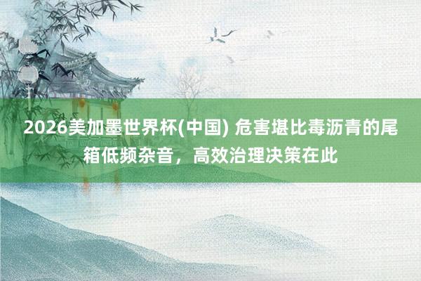 2026美加墨世界杯(中国) 危害堪比毒沥青的尾箱低频杂音，高效治理决策在此