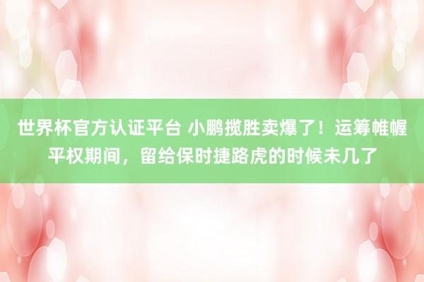 世界杯官方认证平台 小鹏揽胜卖爆了！运筹帷幄平权期间，留给保时捷路虎的时候未几了