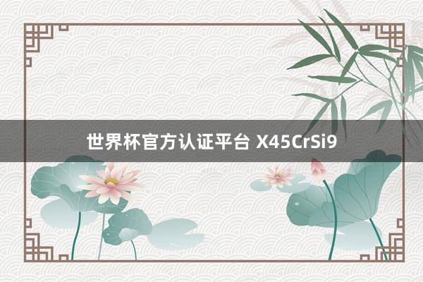 世界杯官方认证平台 X45CrSi9