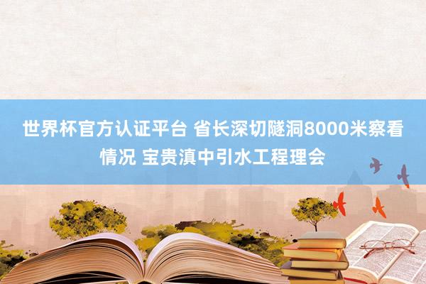 世界杯官方认证平台 省长深切隧洞8000米察看情况 宝贵滇中引水工程理会