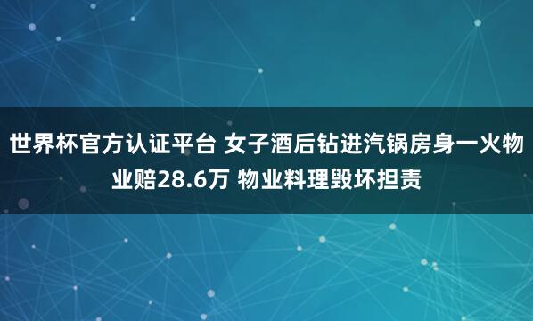 世界杯官方认证平台 女子酒后钻进汽锅房身一火物业赔28.6万 物业料理毁坏担责