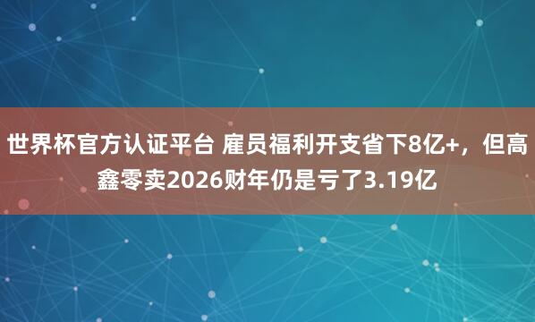 世界杯官方认证平台 雇员福利开支省下8亿+，但高鑫零卖2026财年仍是亏了3.19亿