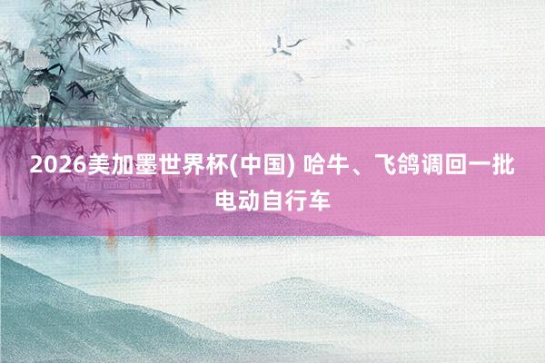2026美加墨世界杯(中国) 哈牛、飞鸽调回一批电动自行车