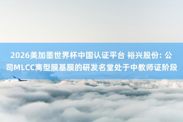 2026美加墨世界杯中国认证平台 裕兴股份: 公司MLCC离型膜基膜的研发名堂处于中教师证阶段