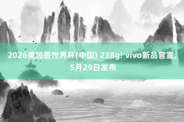 2026美加墨世界杯(中国) 238g! vivo新品官宣， 5月29日发布