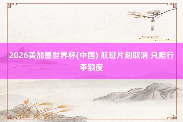 2026美加墨世界杯(中国) 航班片刻取消 只赔行李额度