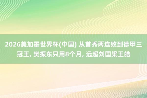 2026美加墨世界杯(中国) 从首秀两连败到德甲三冠王， 樊振东只用8个月， 远超刘国梁王皓