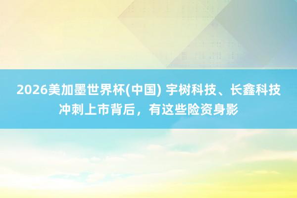 2026美加墨世界杯(中国) 宇树科技、长鑫科技冲刺上市背后，有这些险资身影