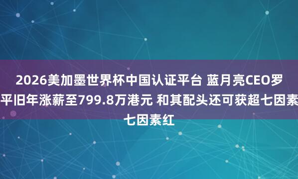 2026美加墨世界杯中国认证平台 蓝月亮CEO罗秋平旧年涨薪至799.8万港元 和其配头还可获超七因素红