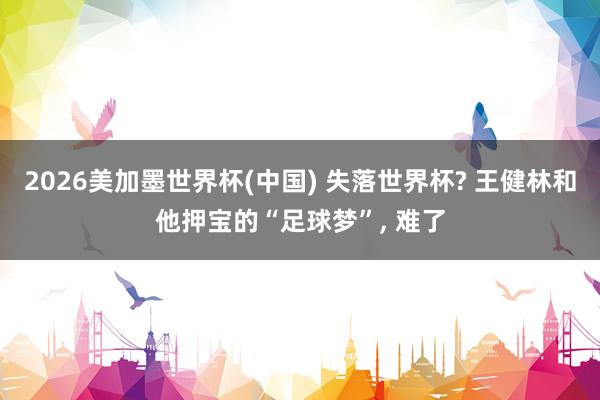 2026美加墨世界杯(中国) 失落世界杯? 王健林和他押宝的“足球梦”， 难了