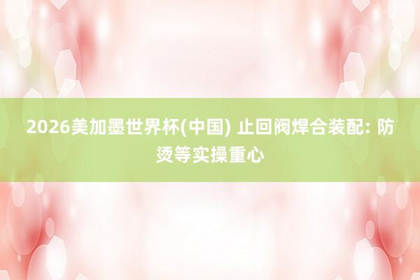 2026美加墨世界杯(中国) 止回阀焊合装配: 防烫等实操重心